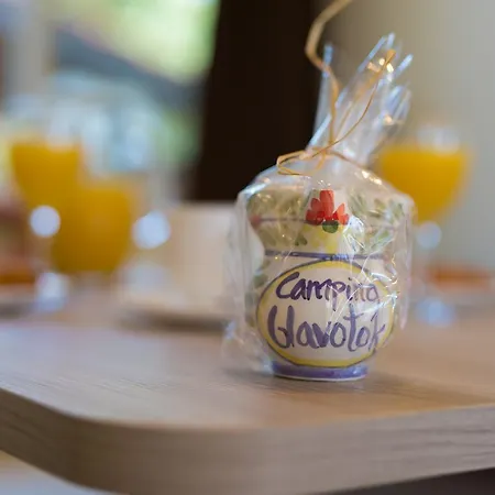 ホリデーパーク Glavotok Brzac